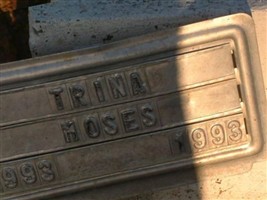 Trina mae Moses