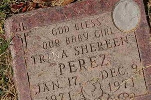 Trina Shereen Perez