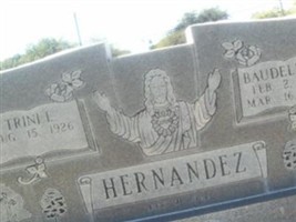 Trini J Hernandez Trini J Hernandez