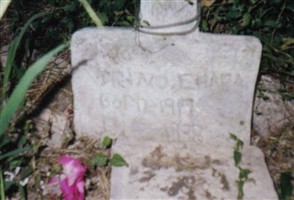 Trinidad "Trino" Chapa