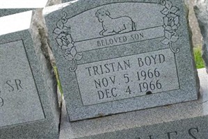 Tristan Boyd Jones Tristan Boyd Jones