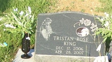 Tristan Rose King Tristan Rose King