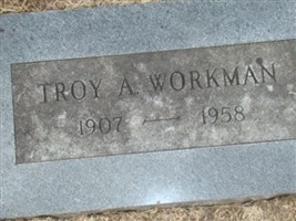 Troy Albert Workman