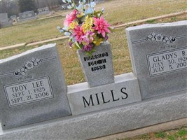 Troy Lee Mills Troy Lee Mills