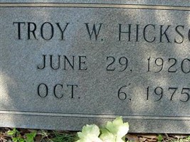 Troy W Hickson