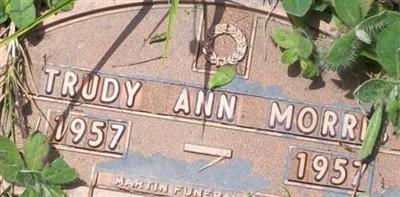 Trudy Ann Morris (1873741.jpg)