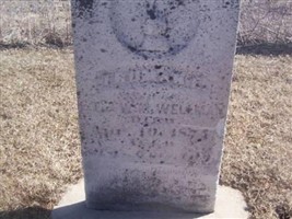 Truman E Wellman