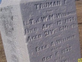 Truman E Wellman