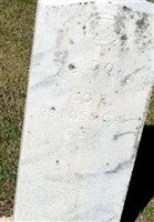 T. S. Doss