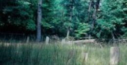 Tucker Cemetery