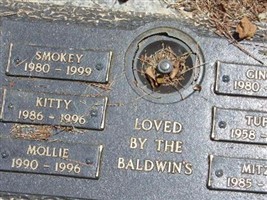 Tuffy Baldwin