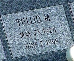 Tullio M Borgia Tullio M Borgia
