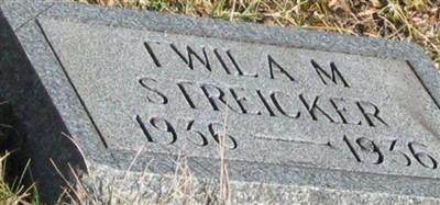 Twila M Streicker