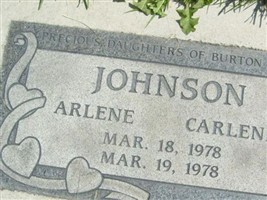 Twin Arlene Johnson Twin Arlene Johnson