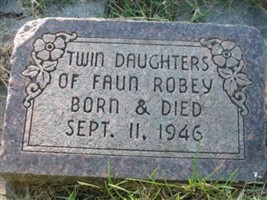 Twin Daughters Robey