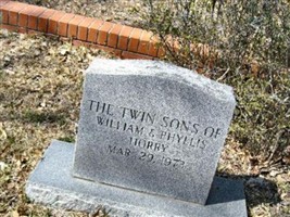 Twin Son One Horry