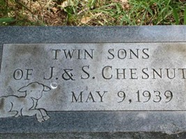 Twin Sons Chesnut Twin Sons Chesnut