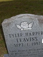 Tyler Harper Leavins Tyler Harper Leavins