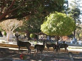 Ukiah Cemetery