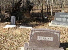 Uldine Perkins Mock Brake