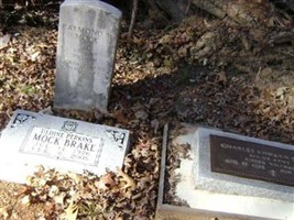 Uldine Perkins Mock Brake