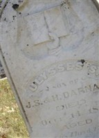 Ulysses Seldon Darnall