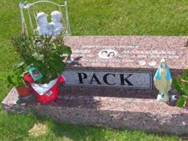 Unborn Twin Boys Pack