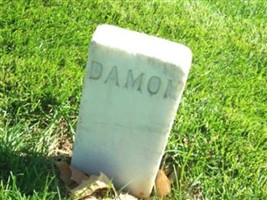 Unknown Damon Unknown Damon