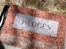 Unknown Hedges