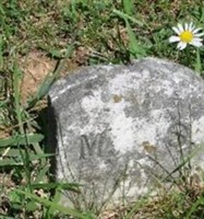 ---- Unknown Marker (M.S.)