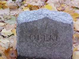 Unknown Oelke