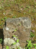 Unknown 3rd row 16th Grave