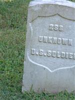 Unknown Soldier 288