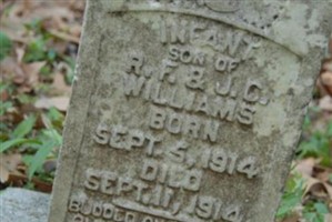 Unnamed Williams