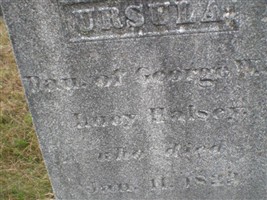 Ursula Halsey Ursula Halsey