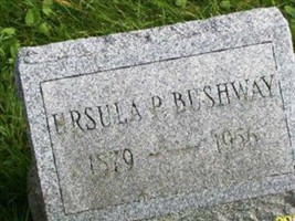 Ursula P Bushway