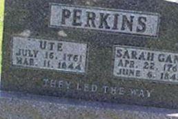 Ute Perkins