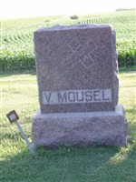 V. Mousel
