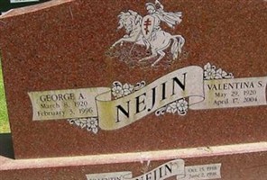 Valentin Nejin