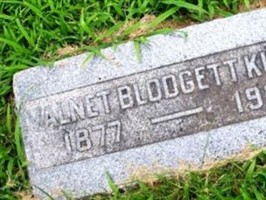 Valnet Blodgett Kurth