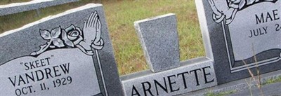 Vandrew Arnette Vandrew Arnette