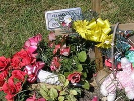 Vanessa B. Washington Vanessa B. Washington