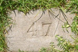 Vanessa Banks Vanessa Banks