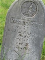 Vashti Ann Haskins Vashti Ann Haskins