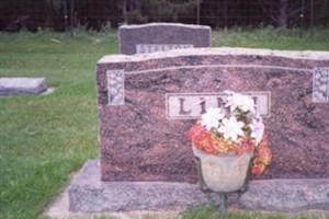 Velona Elisa Linn Linn