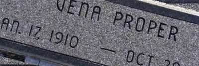 Vena Proper Vena Proper