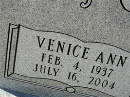 Venice Ann Seagle Leesley Venice Ann Seagle Leesley
