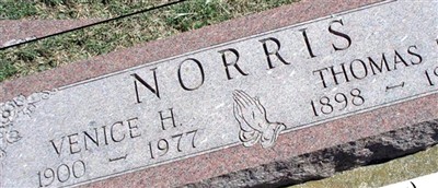 Venice Norris Venice Norris