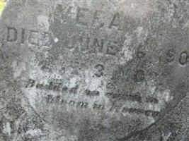 Vera Colgrove Vera Colgrove