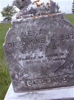 Vera Colgrove Vera Colgrove
